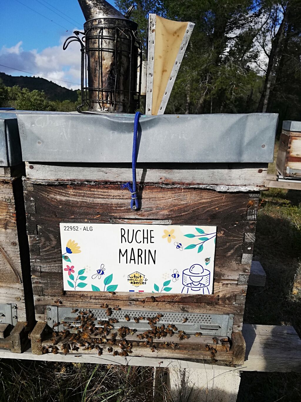 La ruche Marin