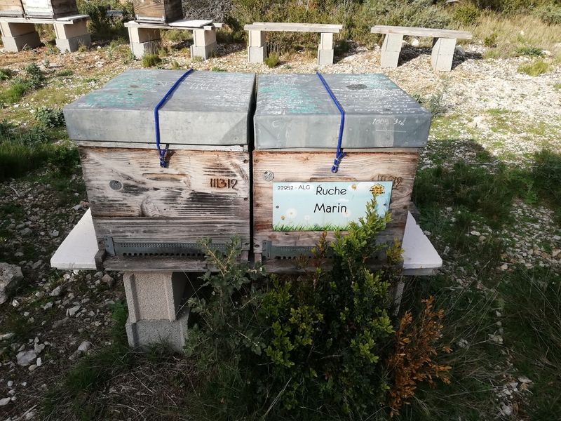 La ruche Marin