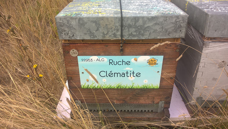 La ruche Clématite