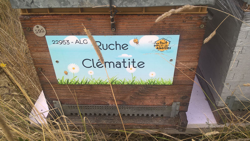 La ruche Clématite