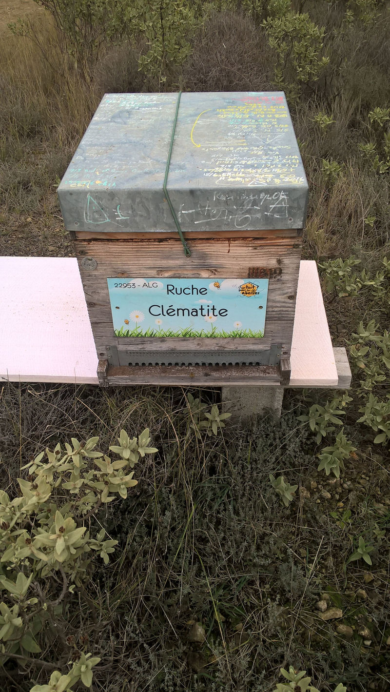 La ruche Clématite