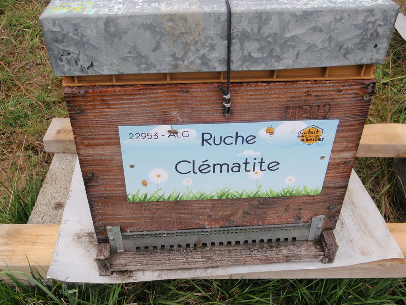 La ruche Clématite