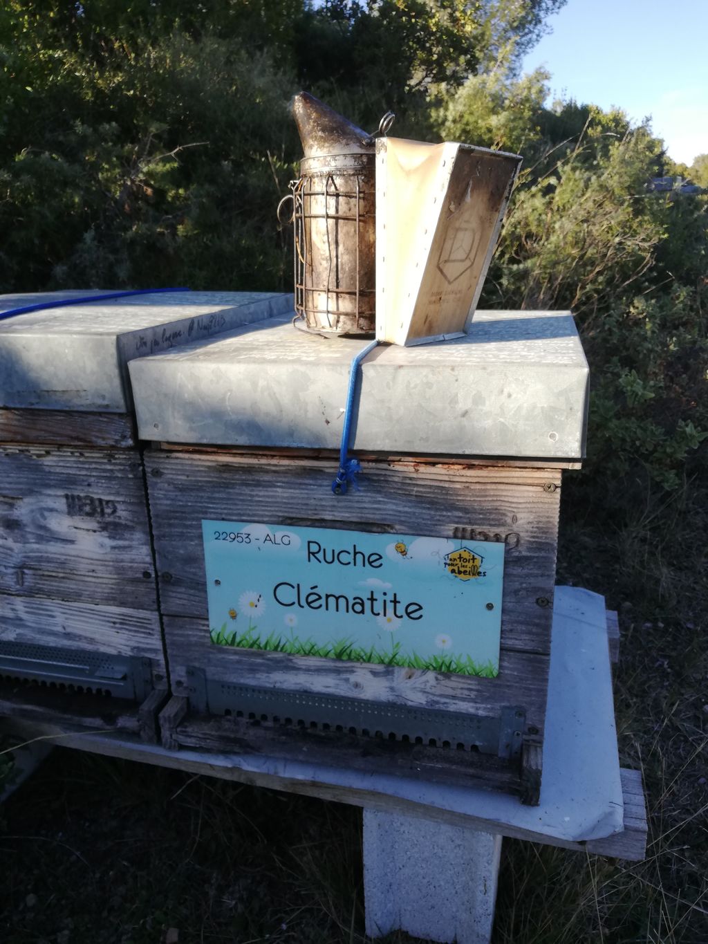 La ruche Clématite