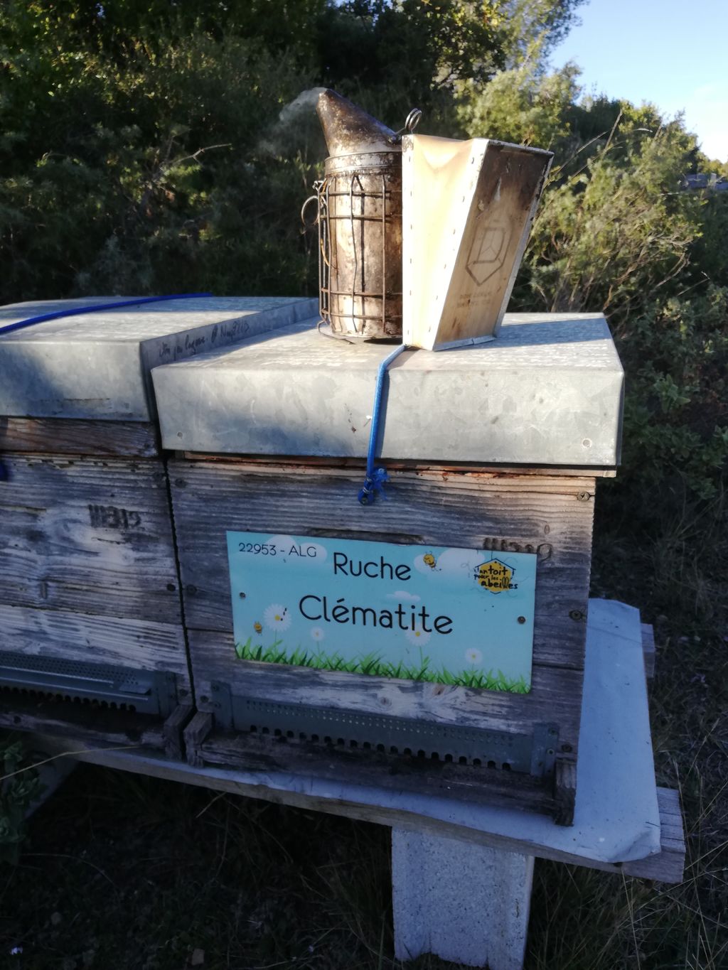 La ruche Clématite