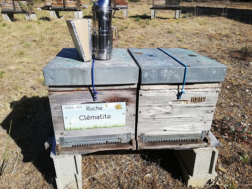 La ruche Clématite