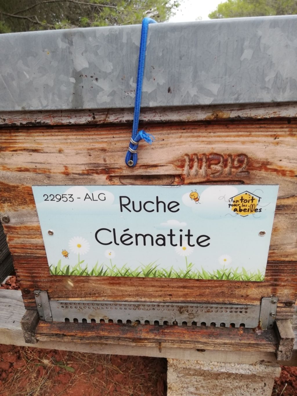 La ruche Clématite