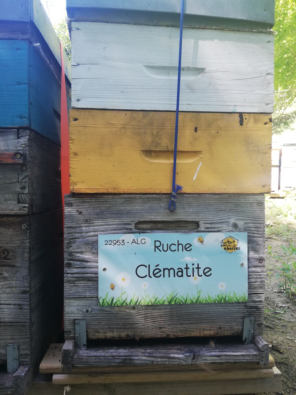 La ruche Clématite