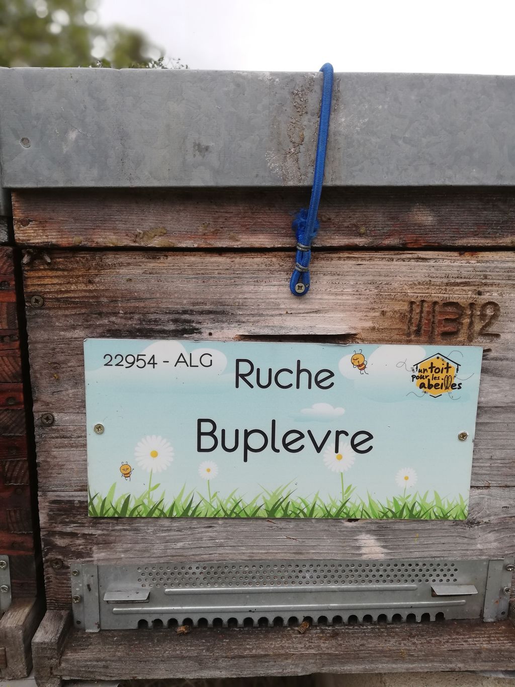 La ruche Buplevre