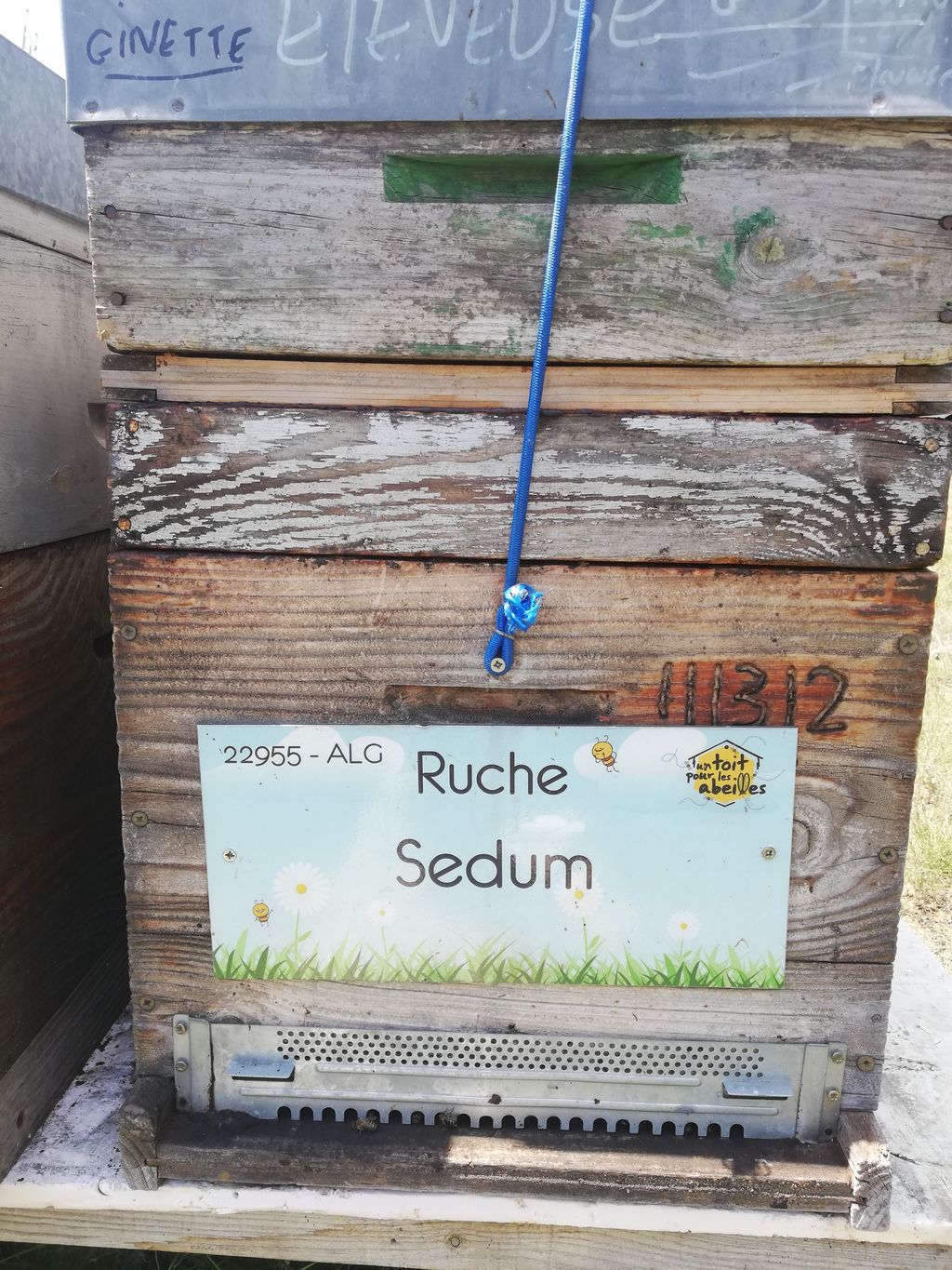 La ruche Sedum