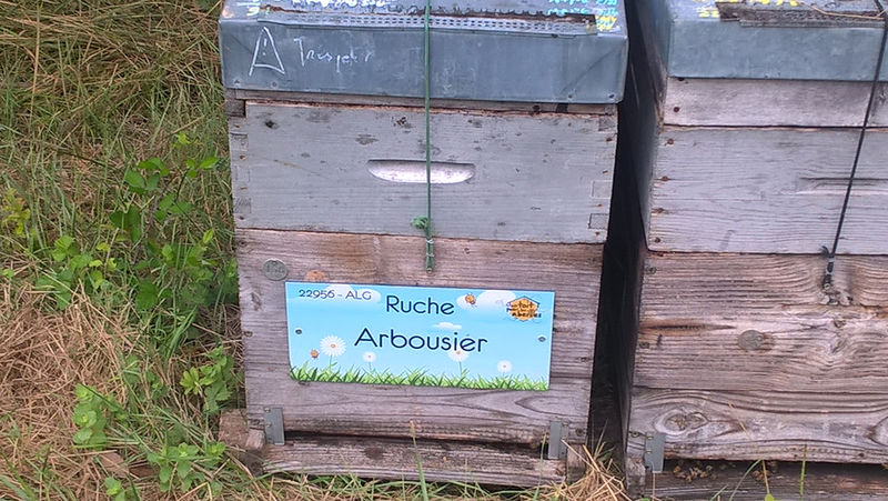 La ruche Arbousier