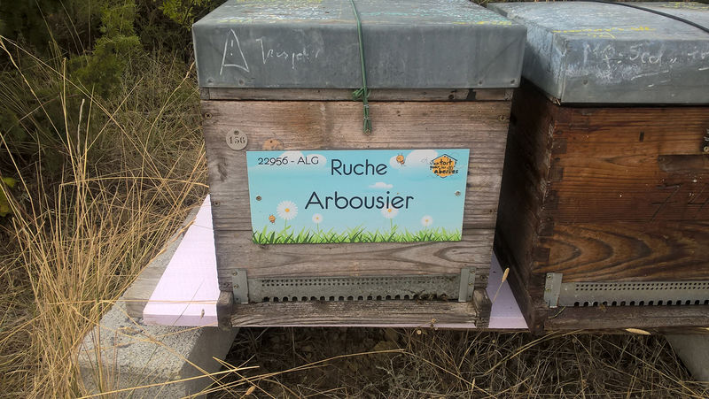 La ruche Arbousier