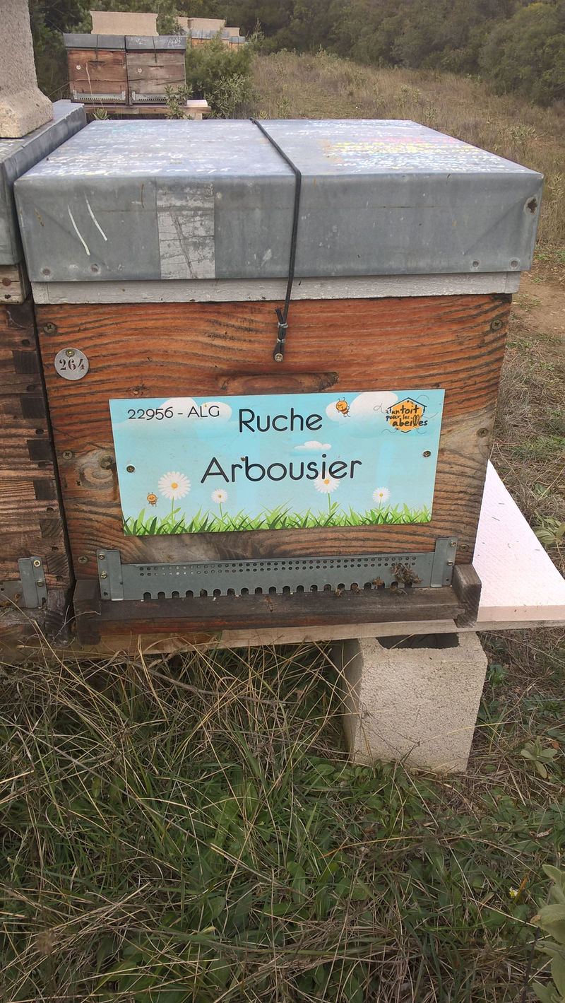 La ruche Arbousier