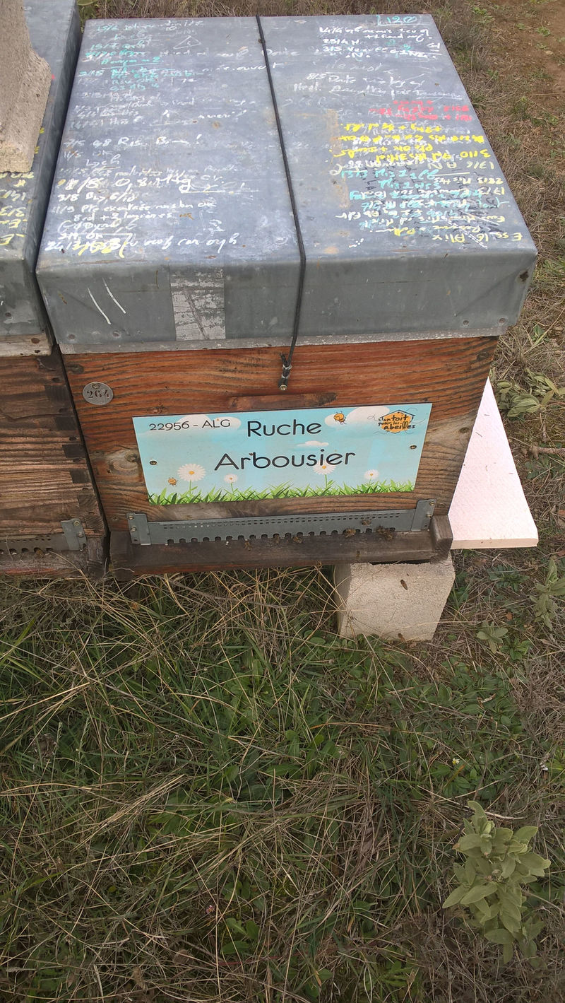 La ruche Arbousier