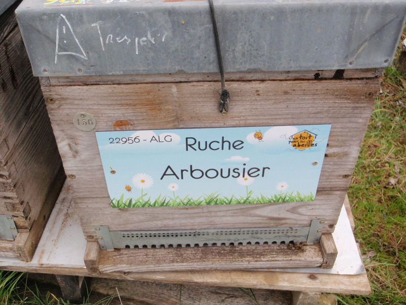 La ruche Arbousier