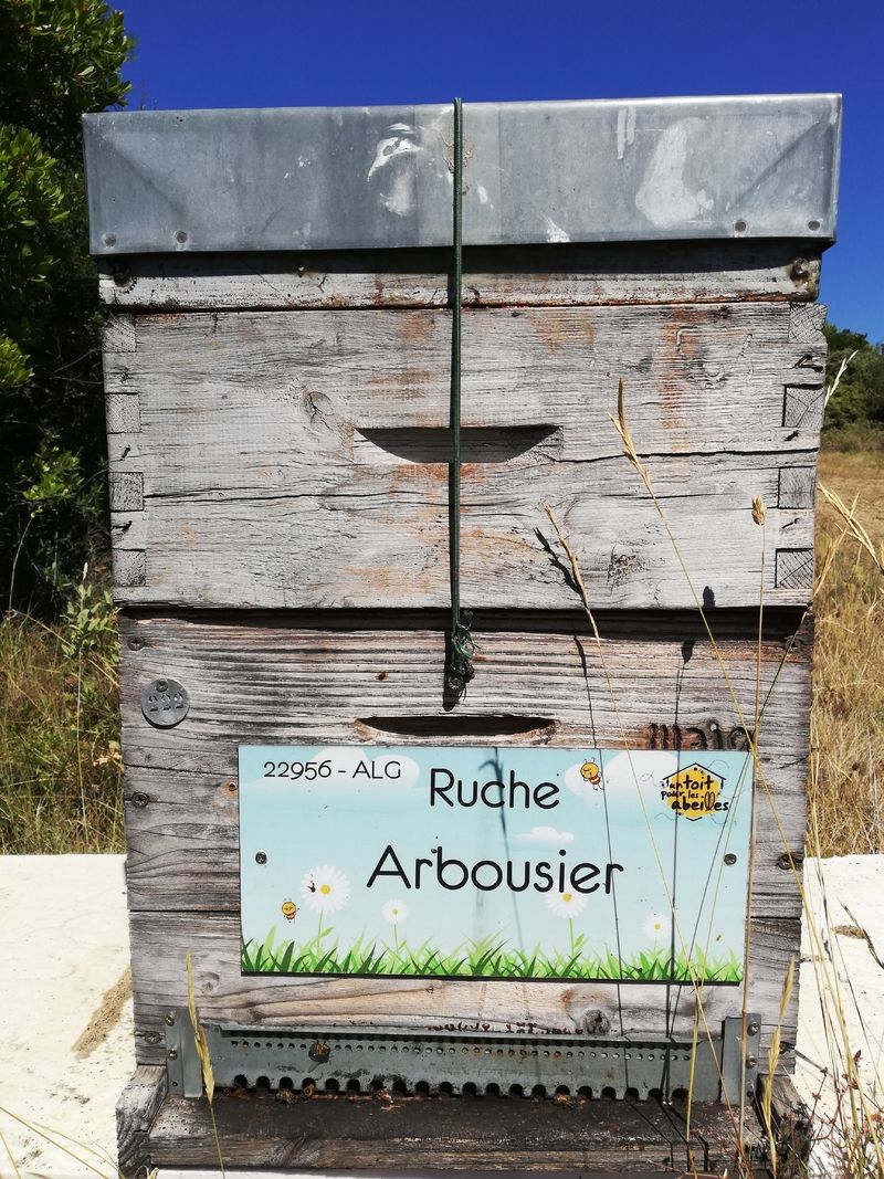 La ruche Arbousier