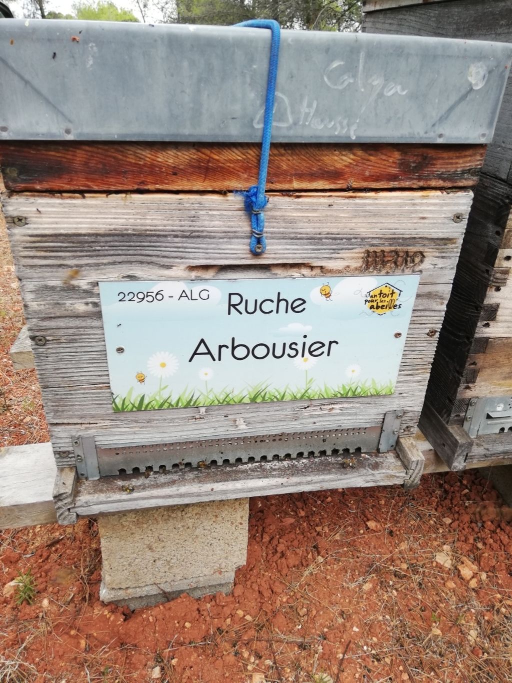 La ruche Arbousier