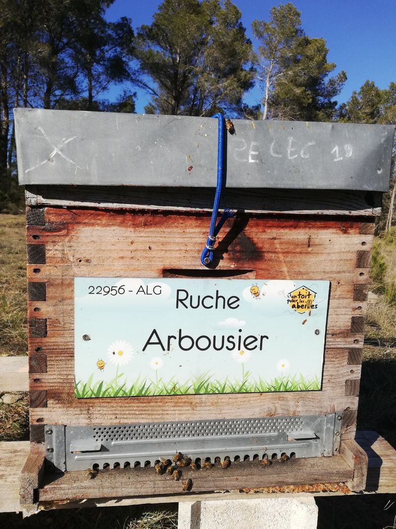 La ruche Arbousier
