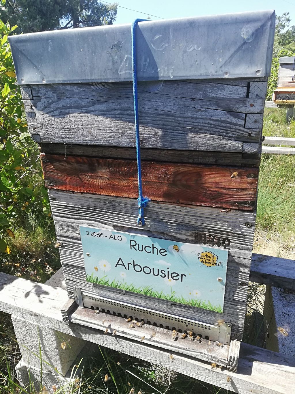 La ruche Arbousier