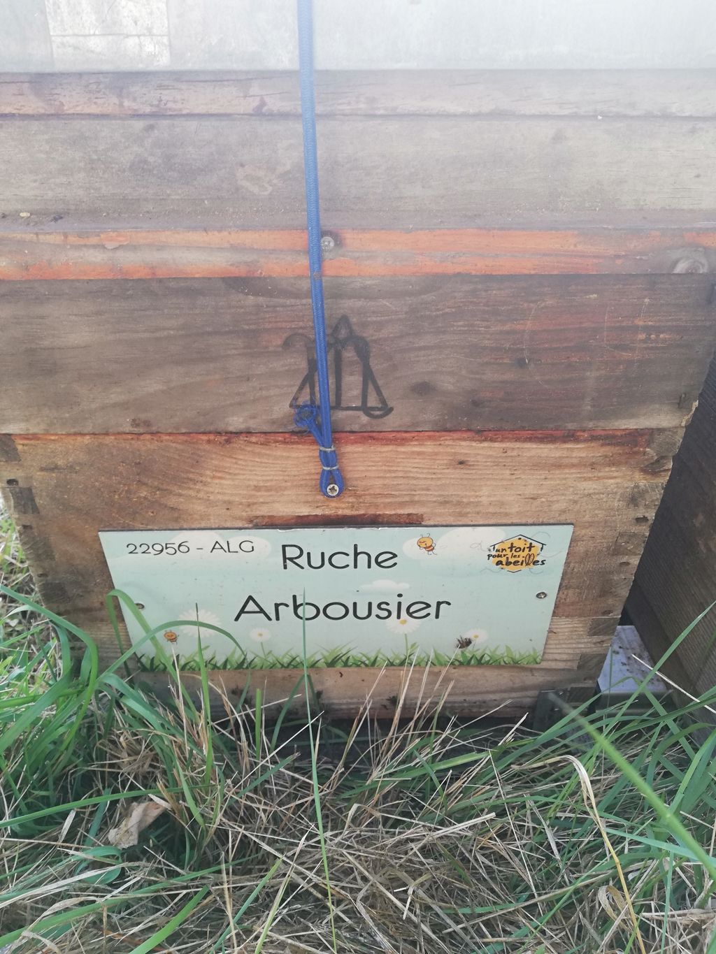 La ruche Arbousier