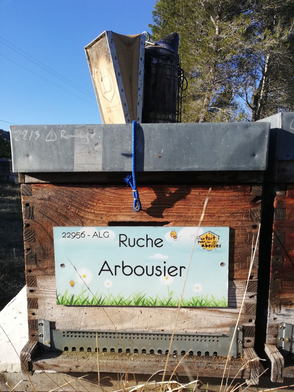La ruche Arbousier