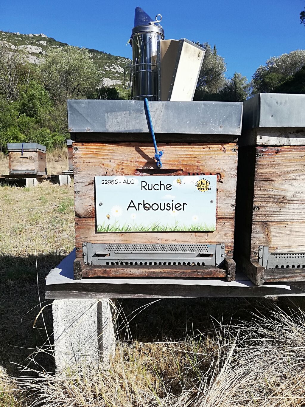 La ruche Arbousier