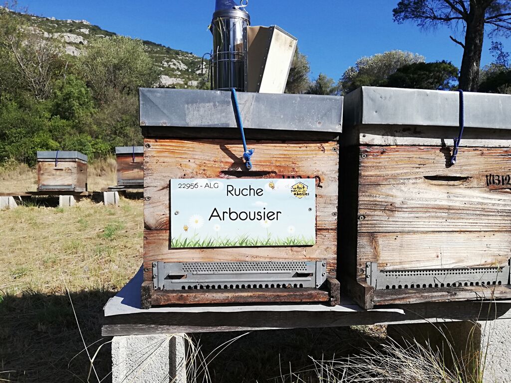 La ruche Arbousier