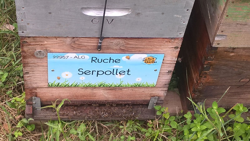 La ruche Serpollet
