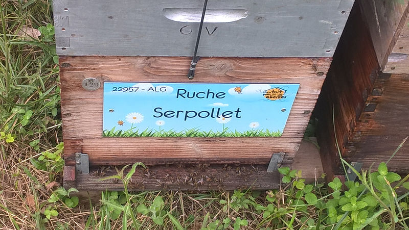 La ruche Serpollet