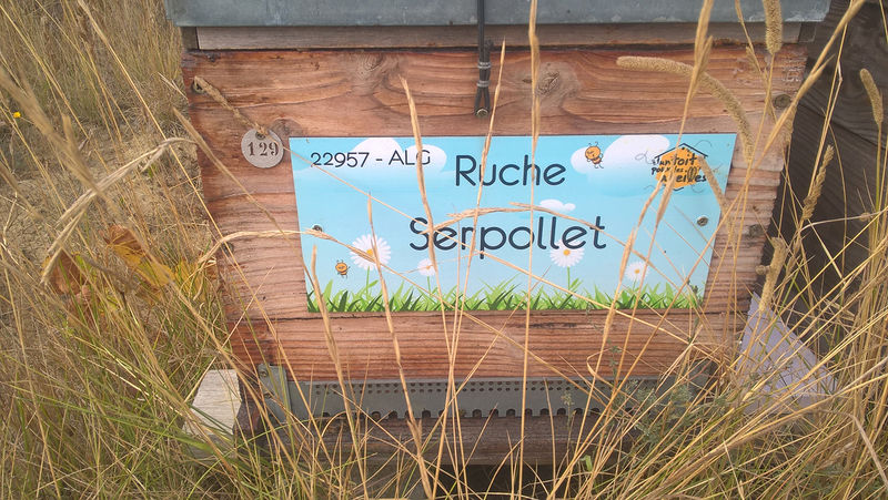 La ruche Serpollet