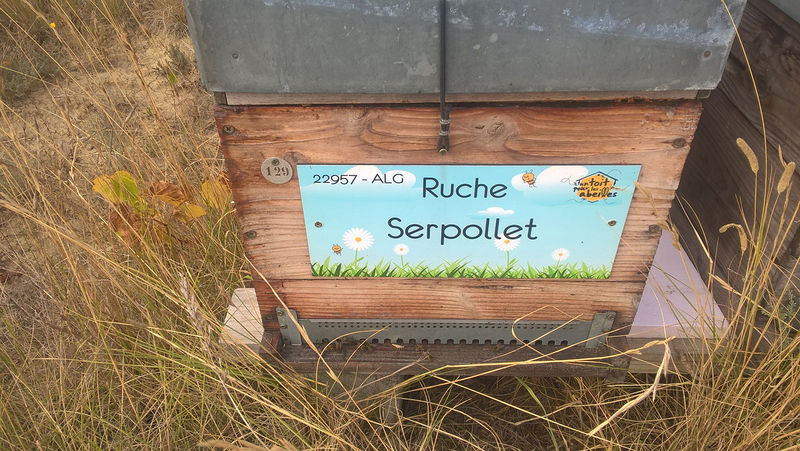 La ruche Serpollet