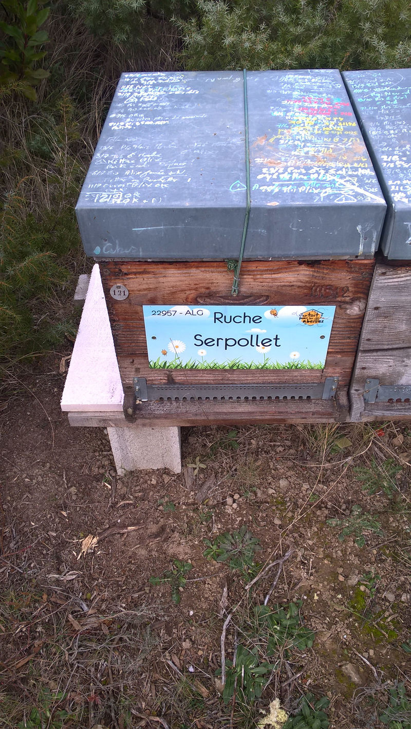 La ruche Serpollet