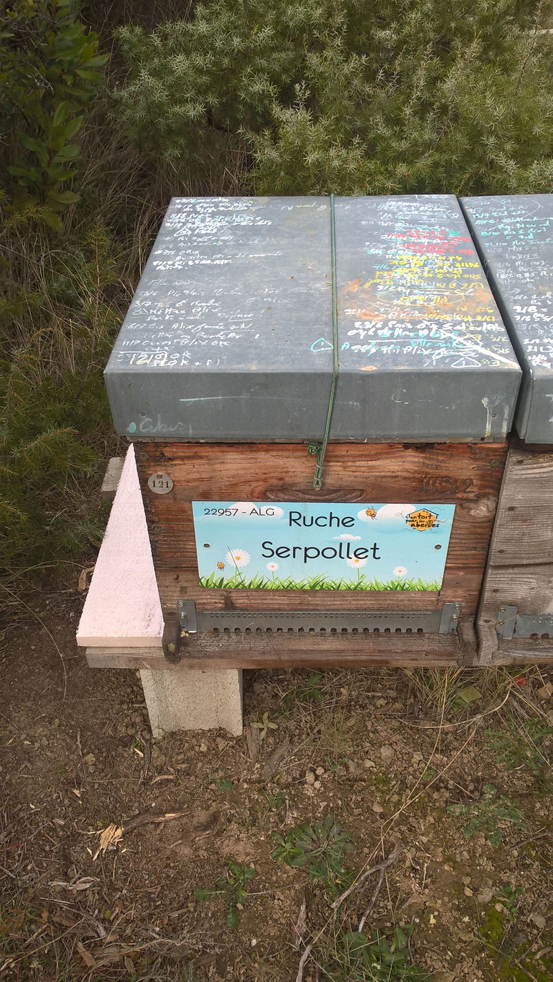 La ruche Serpollet