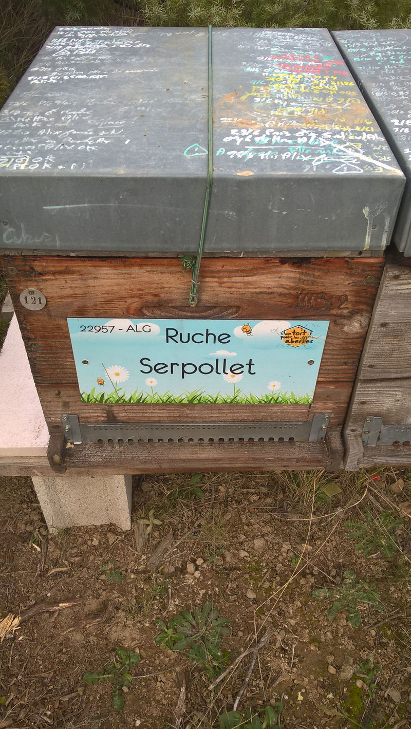La ruche Serpollet