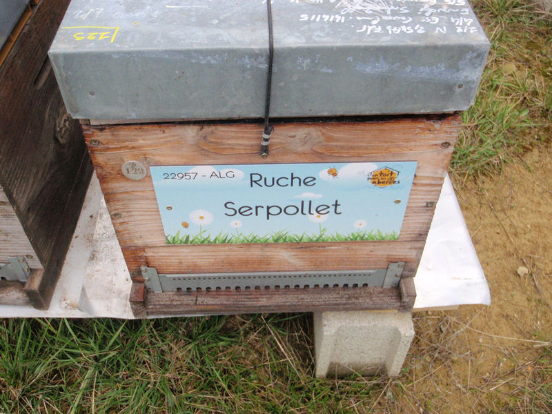 La ruche Serpollet