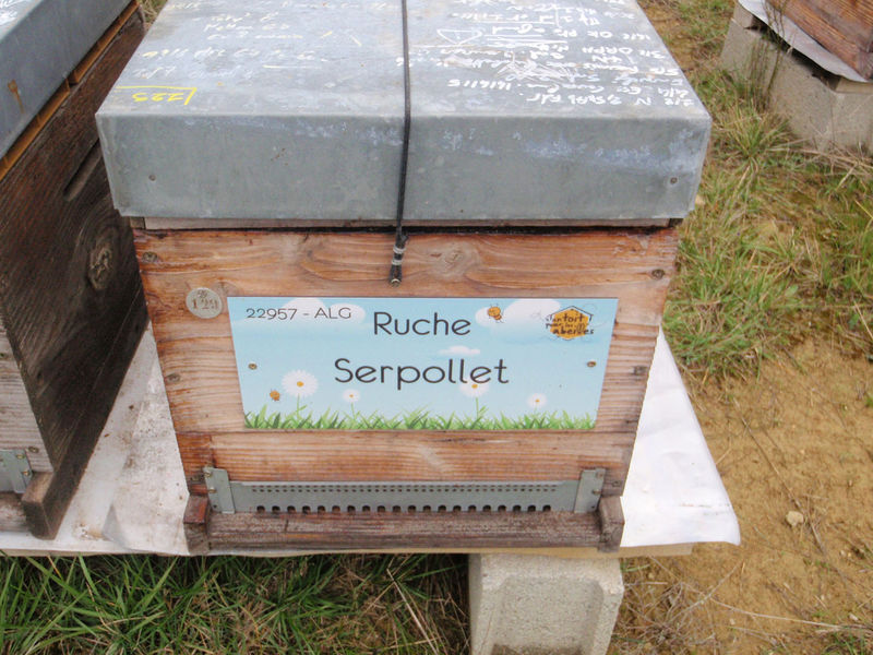 La ruche Serpollet