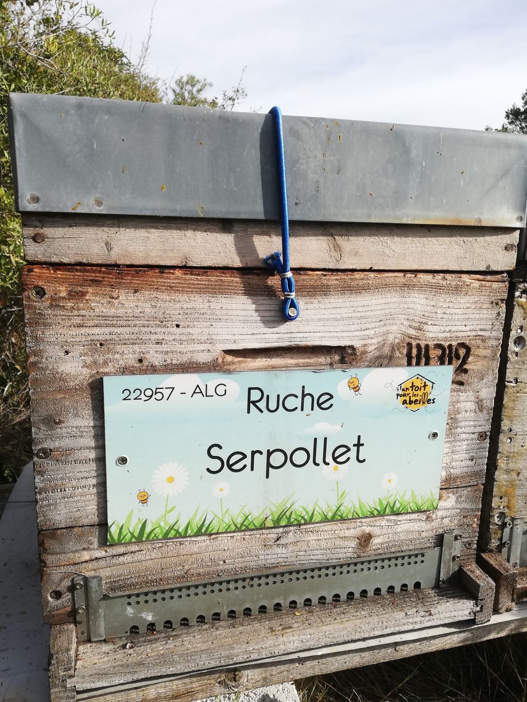 La ruche Serpollet