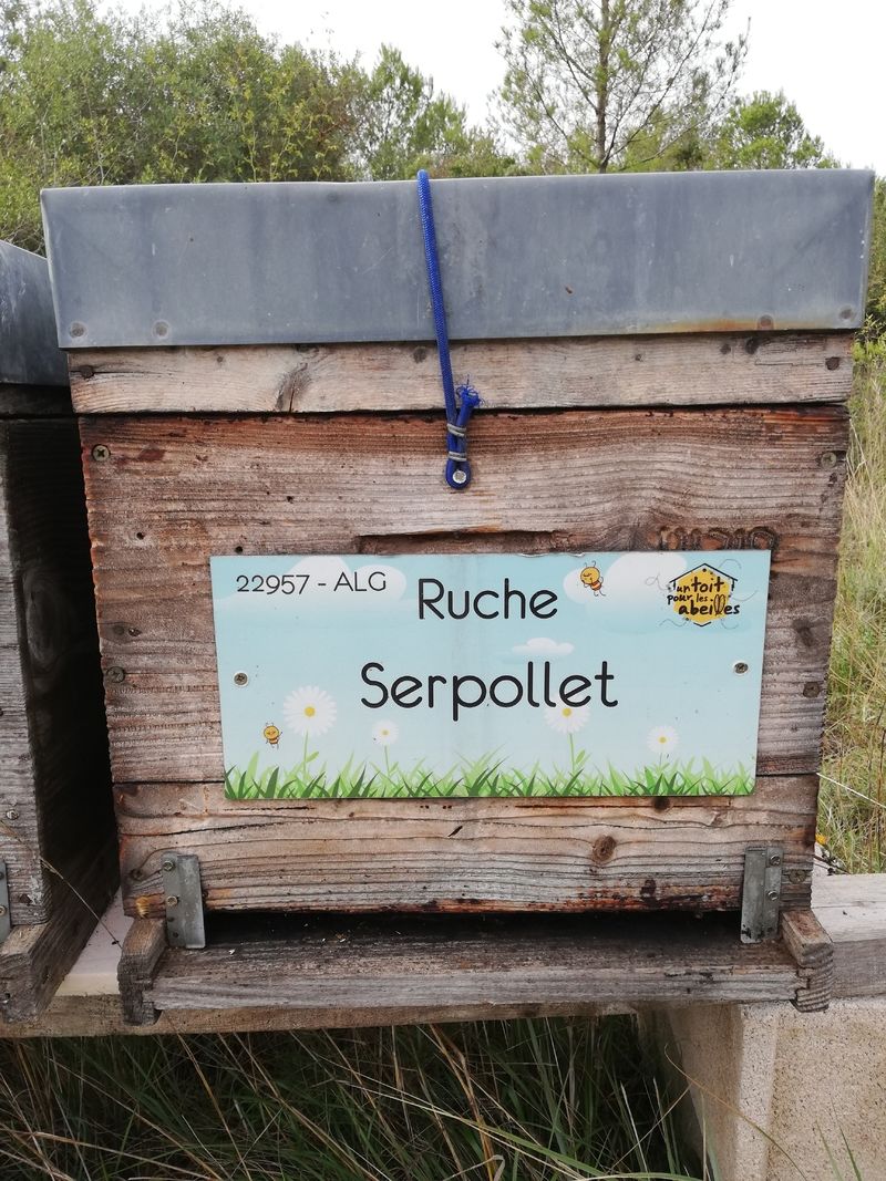 La ruche Serpollet