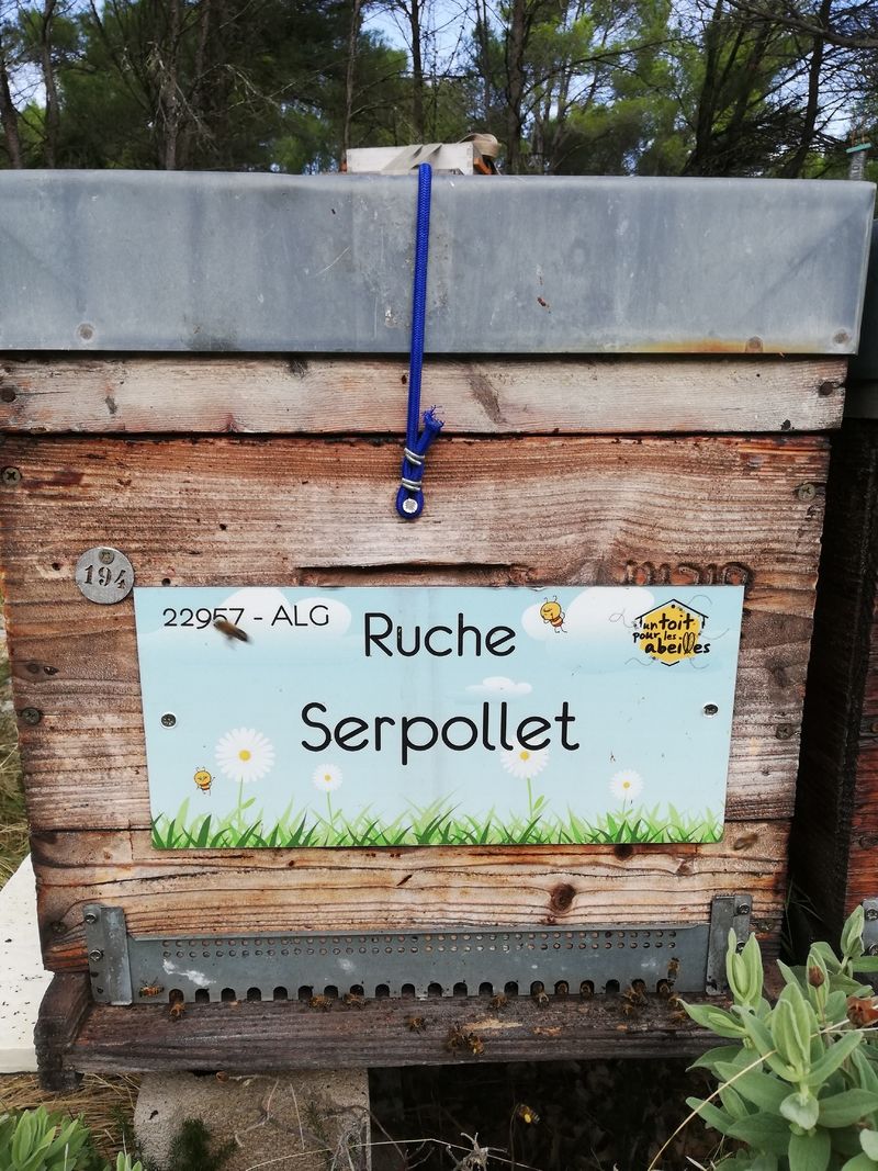 La ruche Serpollet