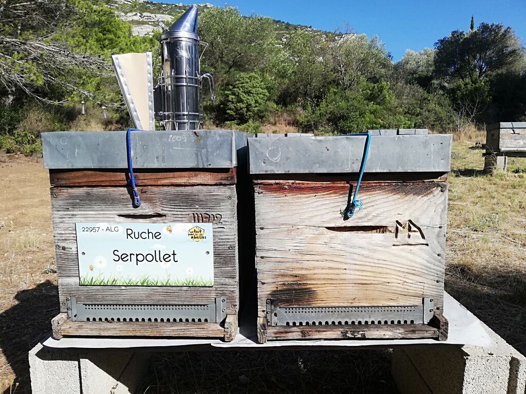 La ruche Serpollet