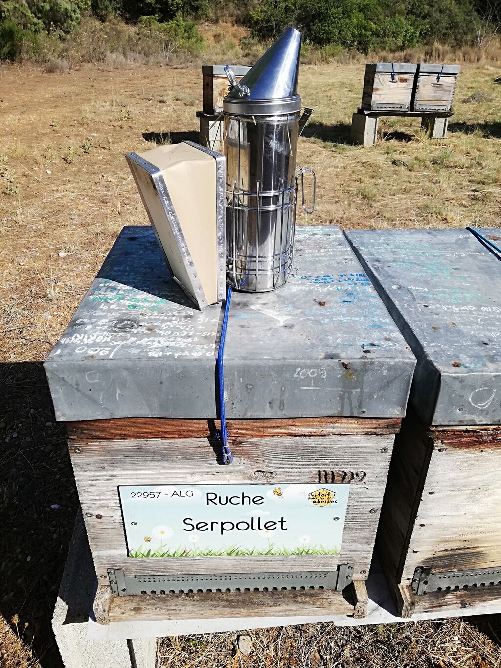 La ruche Serpollet