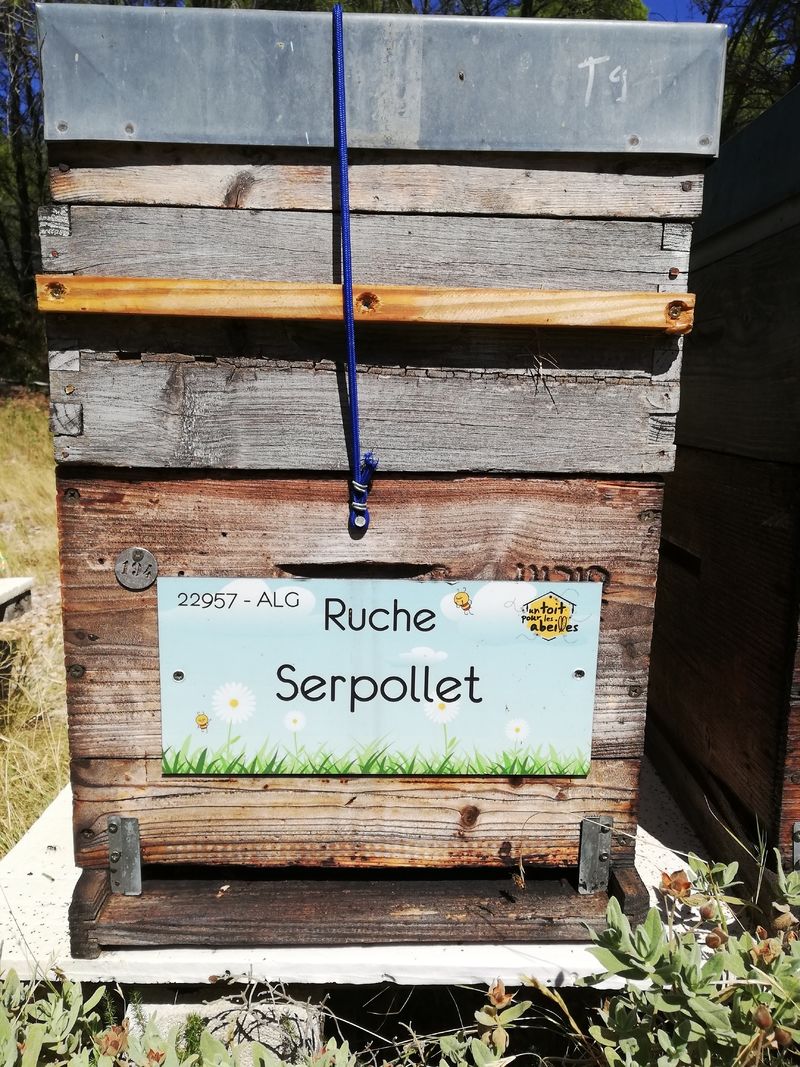 La ruche Serpollet