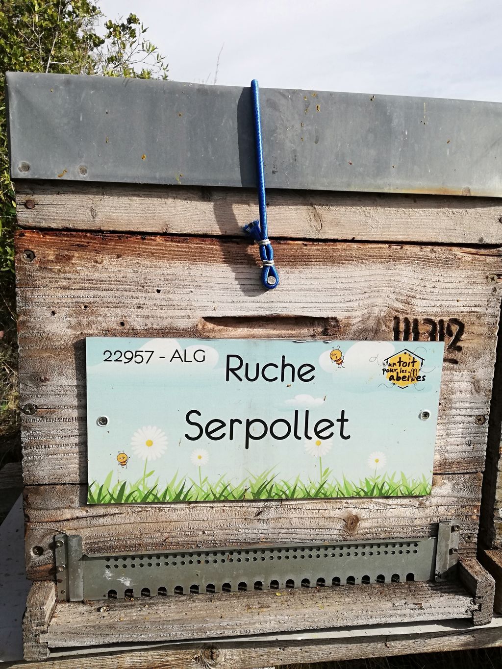 La ruche Serpollet