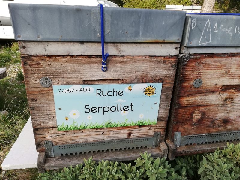 La ruche Serpollet