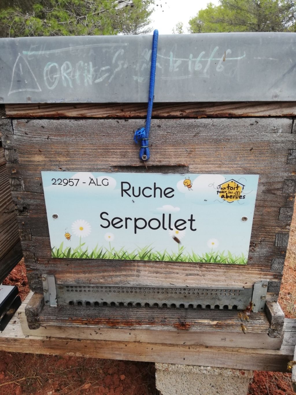La ruche Serpollet