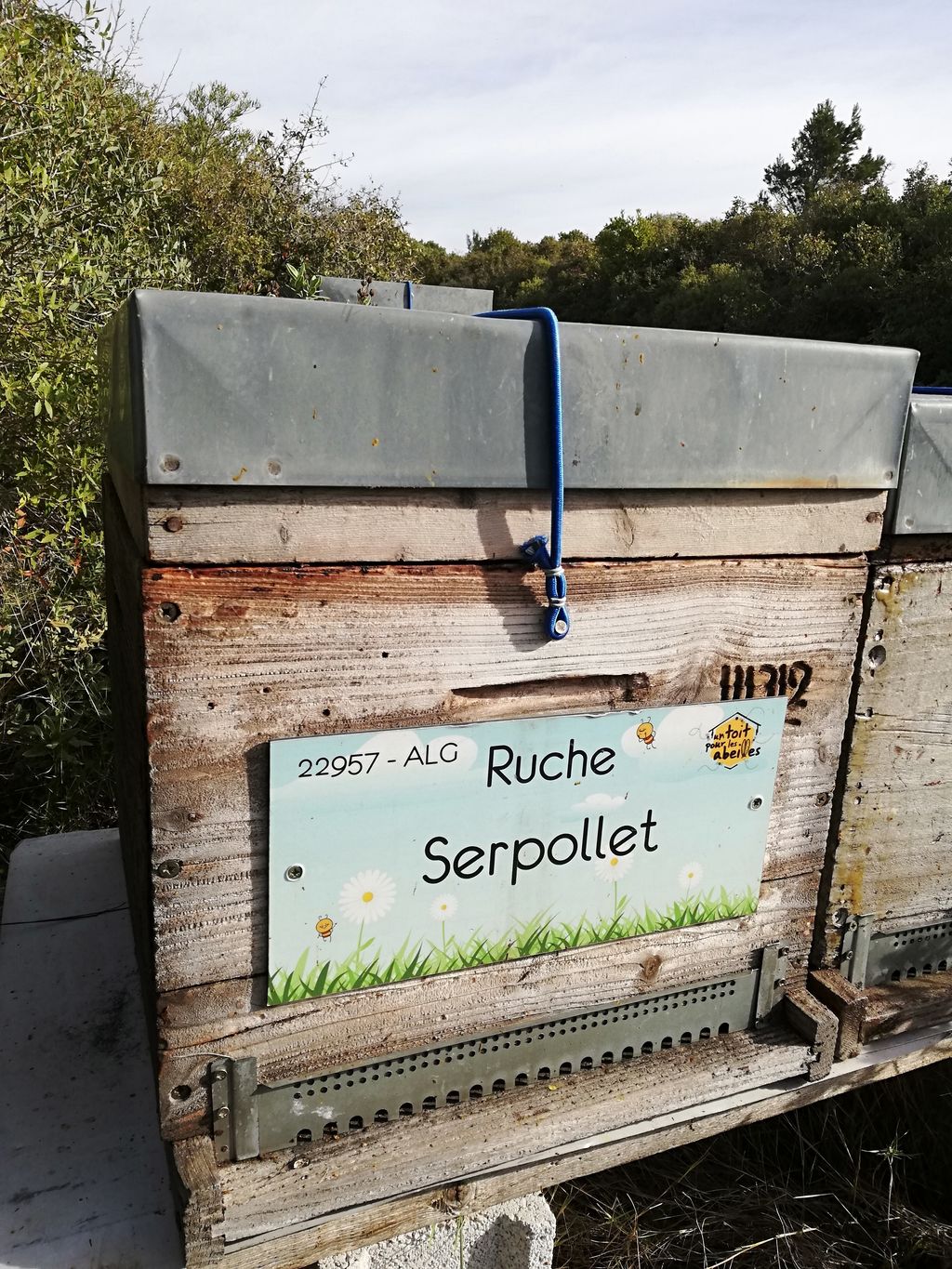 La ruche Serpollet