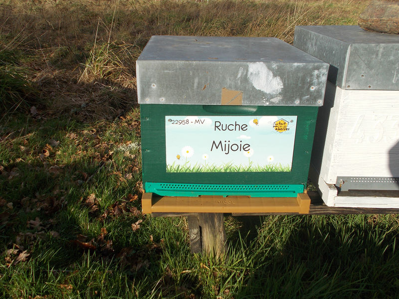 La ruche Mijoie