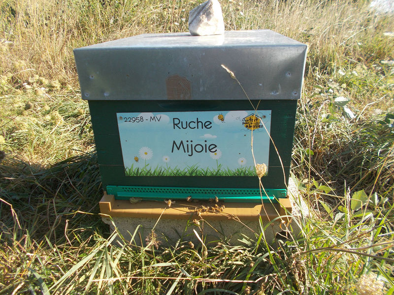 La ruche Mijoie