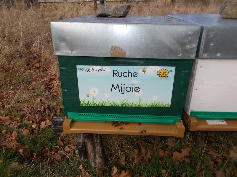 La ruche Mijoie