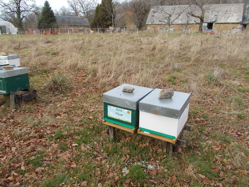 La ruche Mijoie