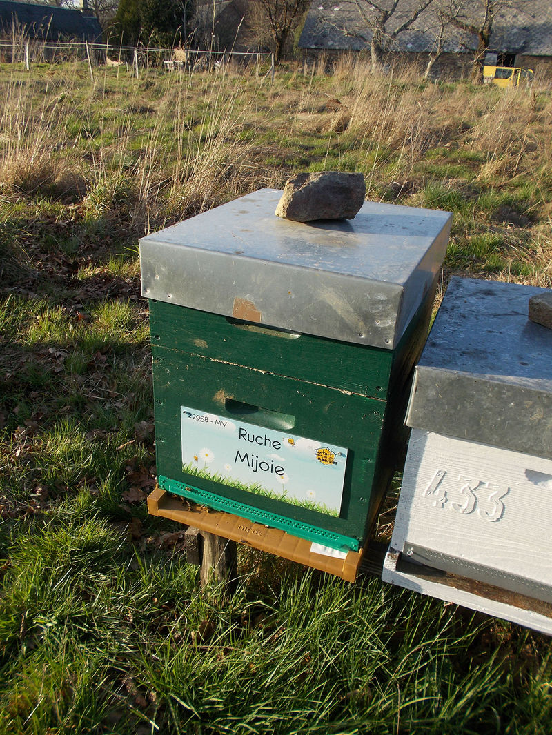 La ruche Mijoie
